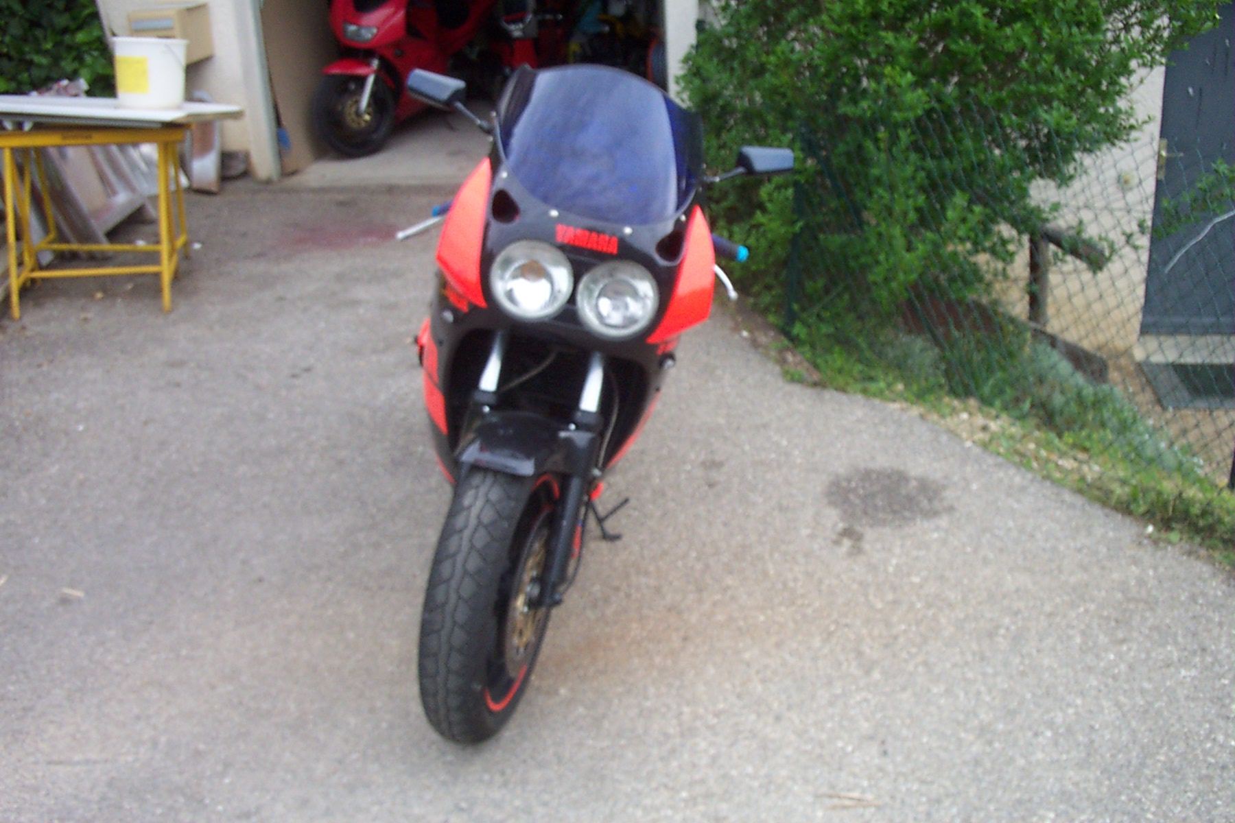 photo